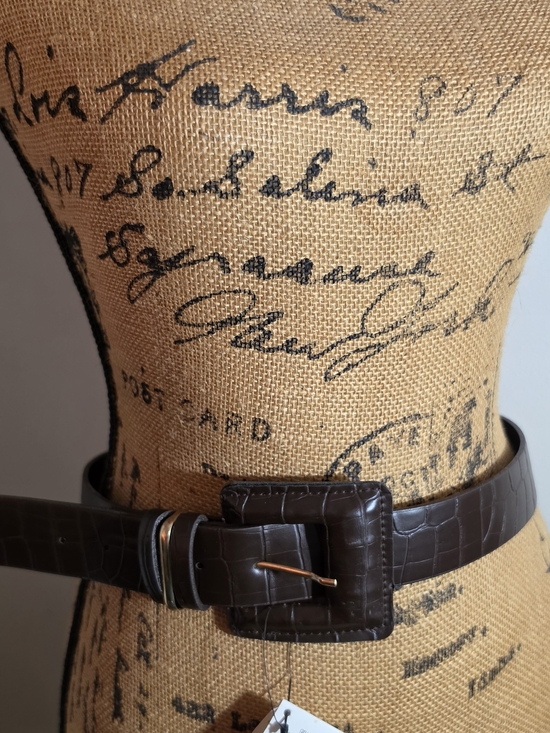 Zara Croc-Embossed Dark Brown Wide Belt with Copper-Tone Pin